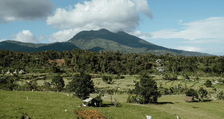 Processing steps illustration